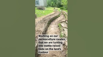 Garden Tour | Permaculture