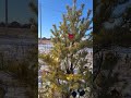 Коттеджный поселок Елки Челябинск / Коттеджный поселок Ёлки Челябинск