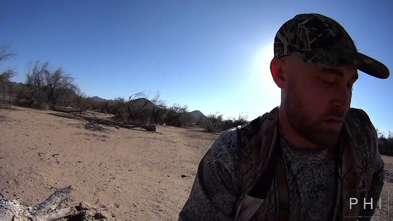 Doves Over Decoys Arizona Dove Hunt 2016 YouTube