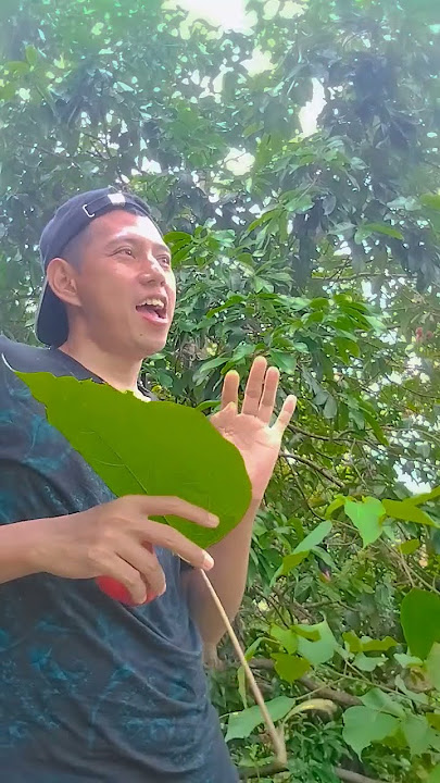 naik kuda tadi #comedy  barusan