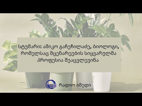 ,,დღის არხი\" - ამიკო გაჩეჩილაძე, ბიოლოგი, რომელსაც  მცენარეების სიყვარულმა  პროფესია შეაცვლევინა