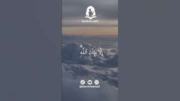 سورة التغابن الاية11 | سعد الغامدي  💛