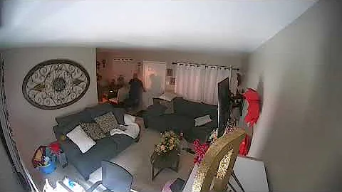 Surveillance Video of Person of Interest Sought in...
