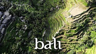Exploring 1000-Year Old Ricefields in Bali