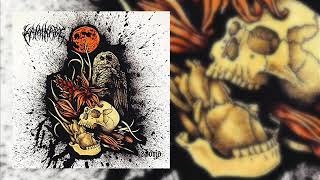 Watch Kamikabe Aporia video