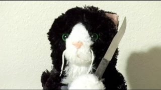 КОШАЧИЙ СУП КОШАЧИЙ СУП