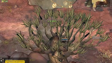 Tree of Savior - Zachariel Crossroad (Collection Chest, Monster, Statue of Goddess)