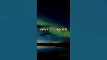 وَلَا تَكُونُوا كَالَّذِينَ نَسُوا اللَّهَ | محمد صديق المنشاوي | سورة الحشر #quran #المصحف