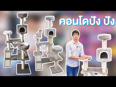 รีวิว ประกอบคอนโดแมว รุ่น ปังปัง