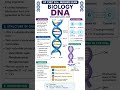 DNA Structure &amp; Function Explained Easily 🧬 | Nursing Entrance 2026#shortvideo #Biologyshorts#DNA