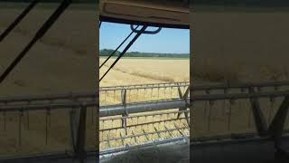 moisson orge 2018