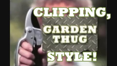 CLIPPING IN VIDEO GAMES - DCUO