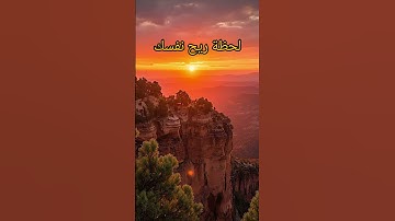آيات من القرآن الكريم ذكرى للذاكرين #القرآن_الكريم_راحة_نفسية