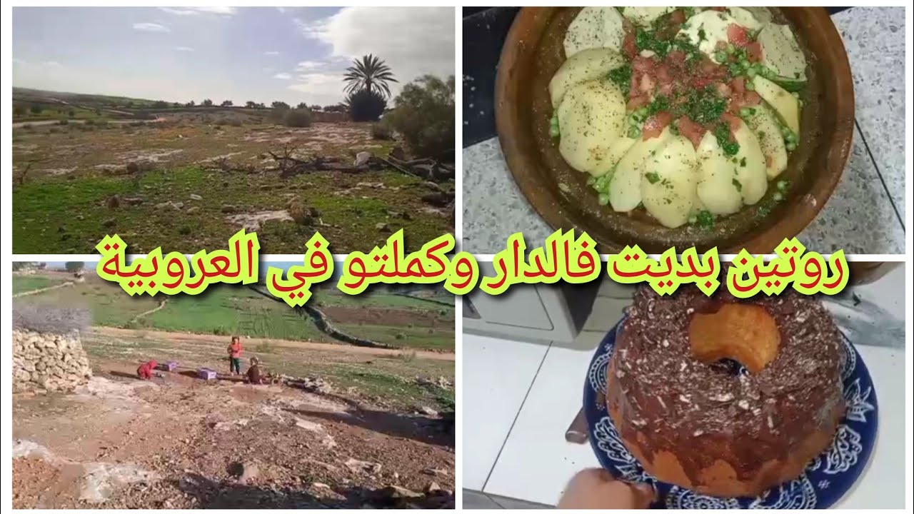 روتين بديت فالدار كملتو في العربية 