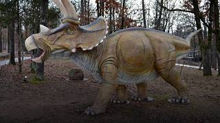 Exploring Arkansas: DinoTrek / Tilting Rock / Banjo Builder / White Pelicans | Episode 1503