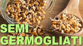 Germogli e Semi Germogliati nella Dieta - Benefici