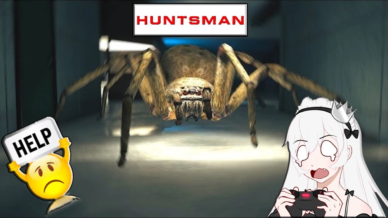 Spiders Are Cool But This Is EXCESSIVE | Huntsman Demo