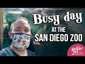 SPRING BREAK at the San Diego Zoo | March 2021 Vlog