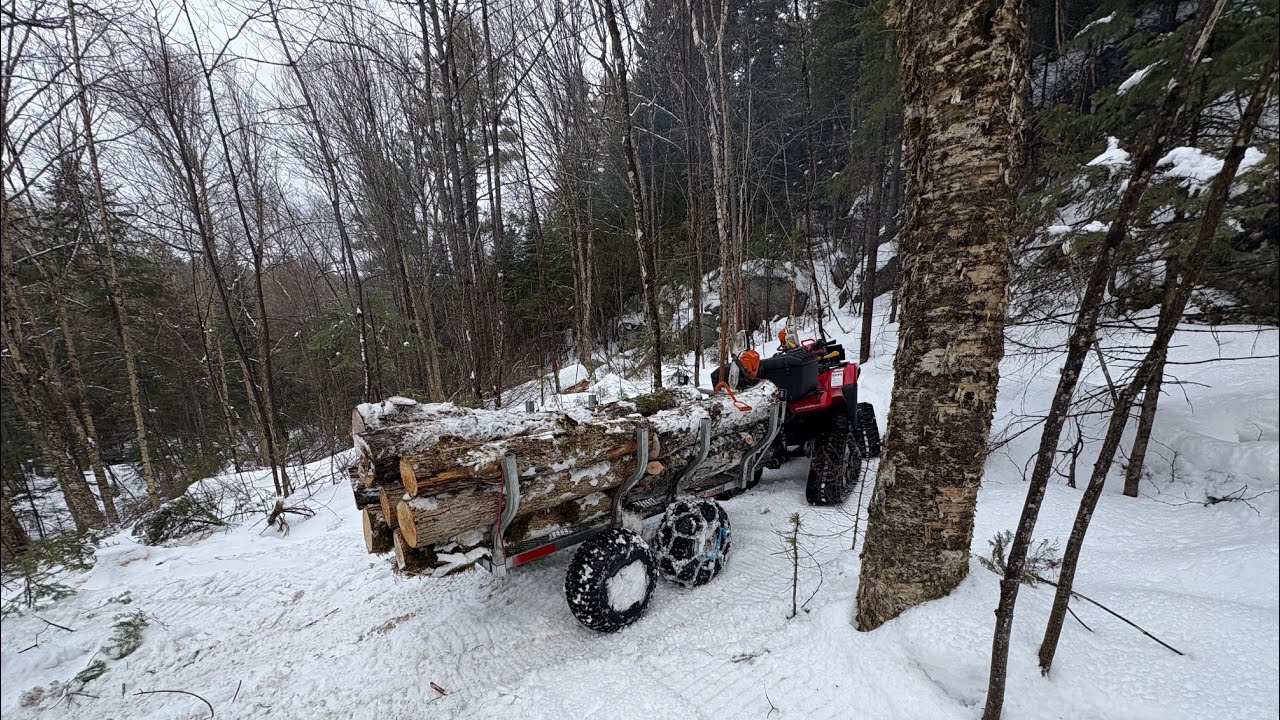 Part 1; loading firewood by hand and transporting it by four-wheel Honda foreman 520