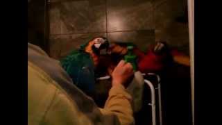 CAM00172.mp4