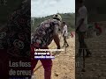 Séismes au Venezuela : des corps enterrés avant même d'être identifiés - #shorts #rtbf
