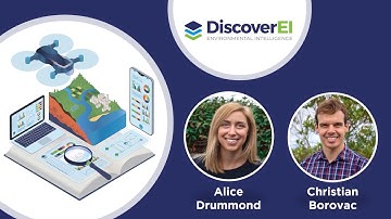 Using the Microsoft Power Platform to tackle global Environmental Challenges