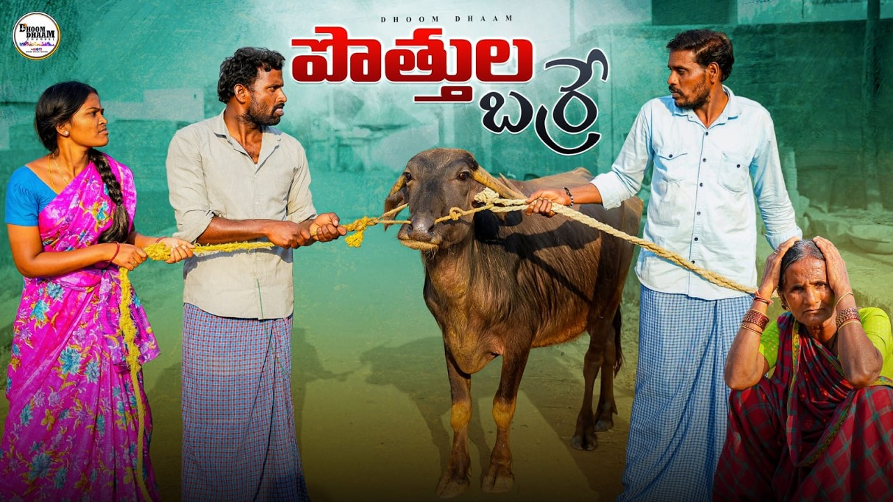 పొత్తుల బర్రే||అన్నాతమ్ముళ్ల లొల్లి||family property||my village comedy||dhoom dhaam channel