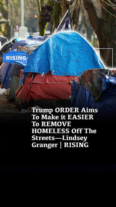 Trump ORDER Aims To Make it EASIER To REMOVE HOMELESS Off The Streets—Lindsey Granger | RISING