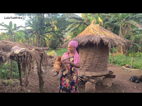 SLAUGHTERING CHICKEN FOR DINNER :IN AN AFRICAN VILLAGE LIFE