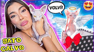 El Regreso De Calvin Un Reencuentro Muy Inesperado Lulu99