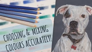 How To Choose & Mix Colours | Drawing White Fur by Claudia Sketches 25,464 views 6 years ago 15 minutes