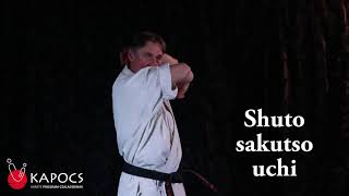 Karate Kyokushin - Shuto sakutso uchi - Kapocs Sportprogram