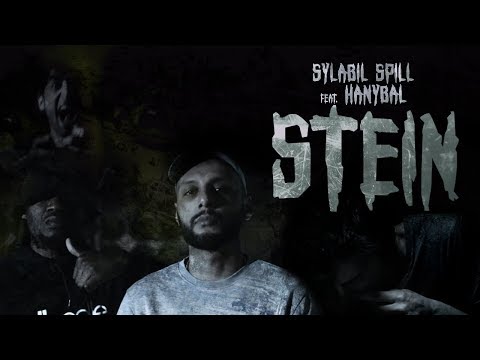 Stein Video