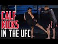 Why CALF KICKS have Become so Effective and Popular in the UFC & MMA - Episode #107