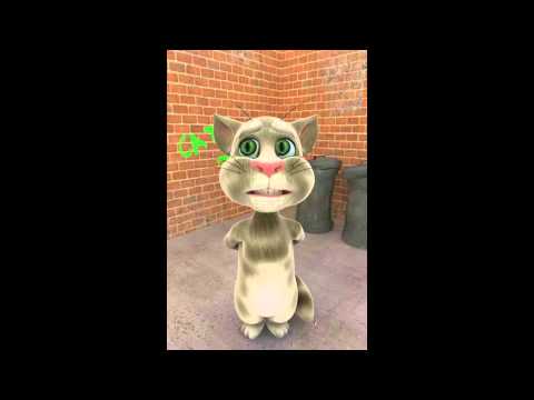 FULL TERI MERI TALKING TOM