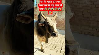 घर के द्वार पर क्या हो गया#subscribe #shorts#motivation#trending#viral #youtubeshorts #reels#tiktok