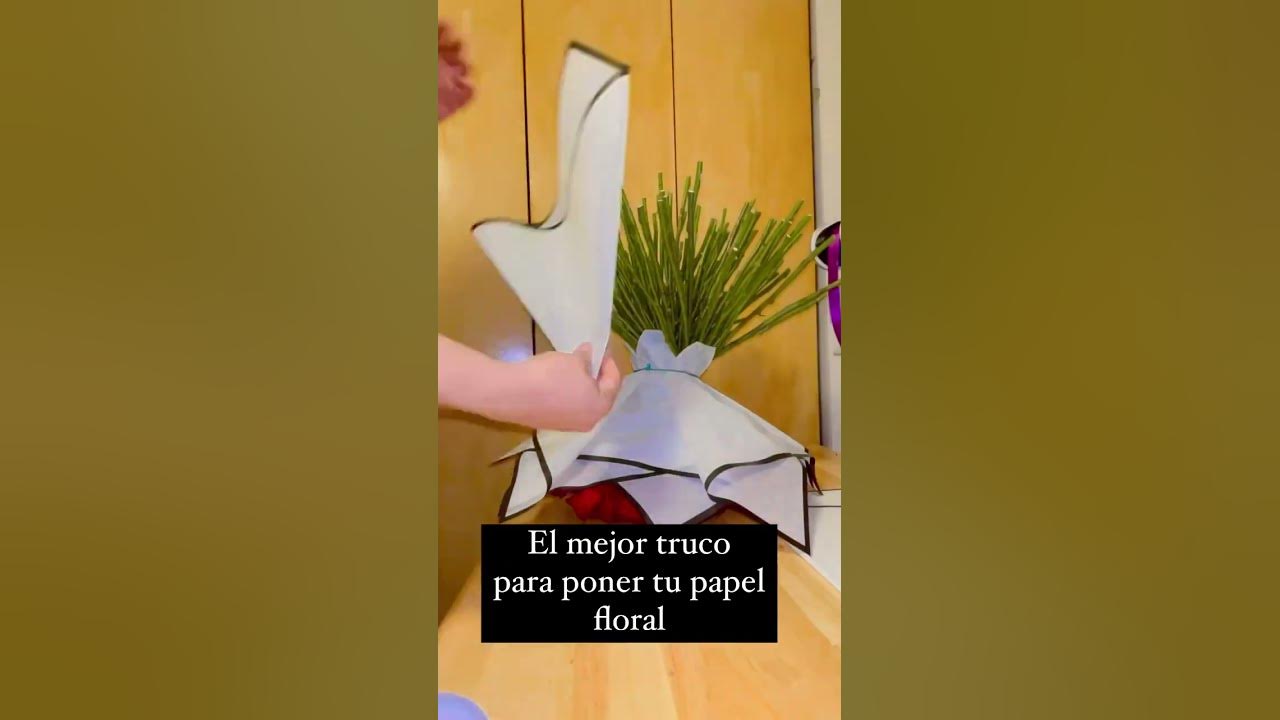 como poner el papel para ramo lv buchon｜TikTok Search