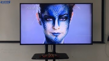 MPC1005 12 Full HD 12 Button triggerable Media Player