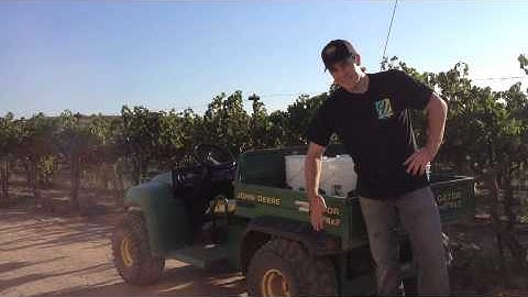 Harvest Time: Grape Sampling- Part 1