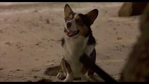 Robinson Crusoe 1997