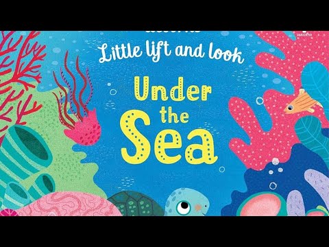 Under the Sea - Lift and Look - YouTube
