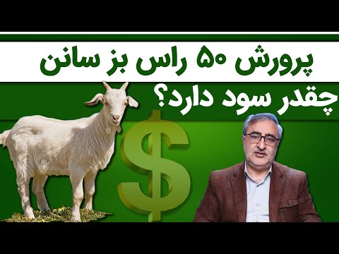 پرورش 50 راس بز سانن چقدر سود دارد