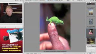 2010-04-20-LiHD-Webinar-Wildlife-n-Pet-Photos-part-6