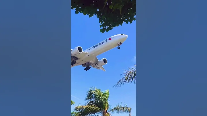 Golden state with American Airlines ☀️