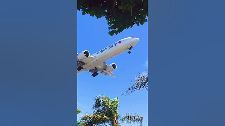 Golden state with American Airlines ☀️