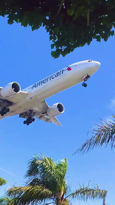 Golden state with American Airlines ☀️