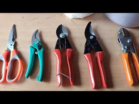 5 Types Of Plant Cutters | Prune cutter | Air Layering Cutter | Stem Cutter | Plants & Flower