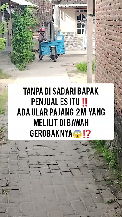 ada se,ekor ular pajang 2 m yg melilit di bawah gerobak bapak itu😱⁉️#shoct