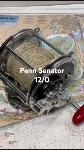 Penn Senator 12/0 Fishing Reel for the Day - YouTube