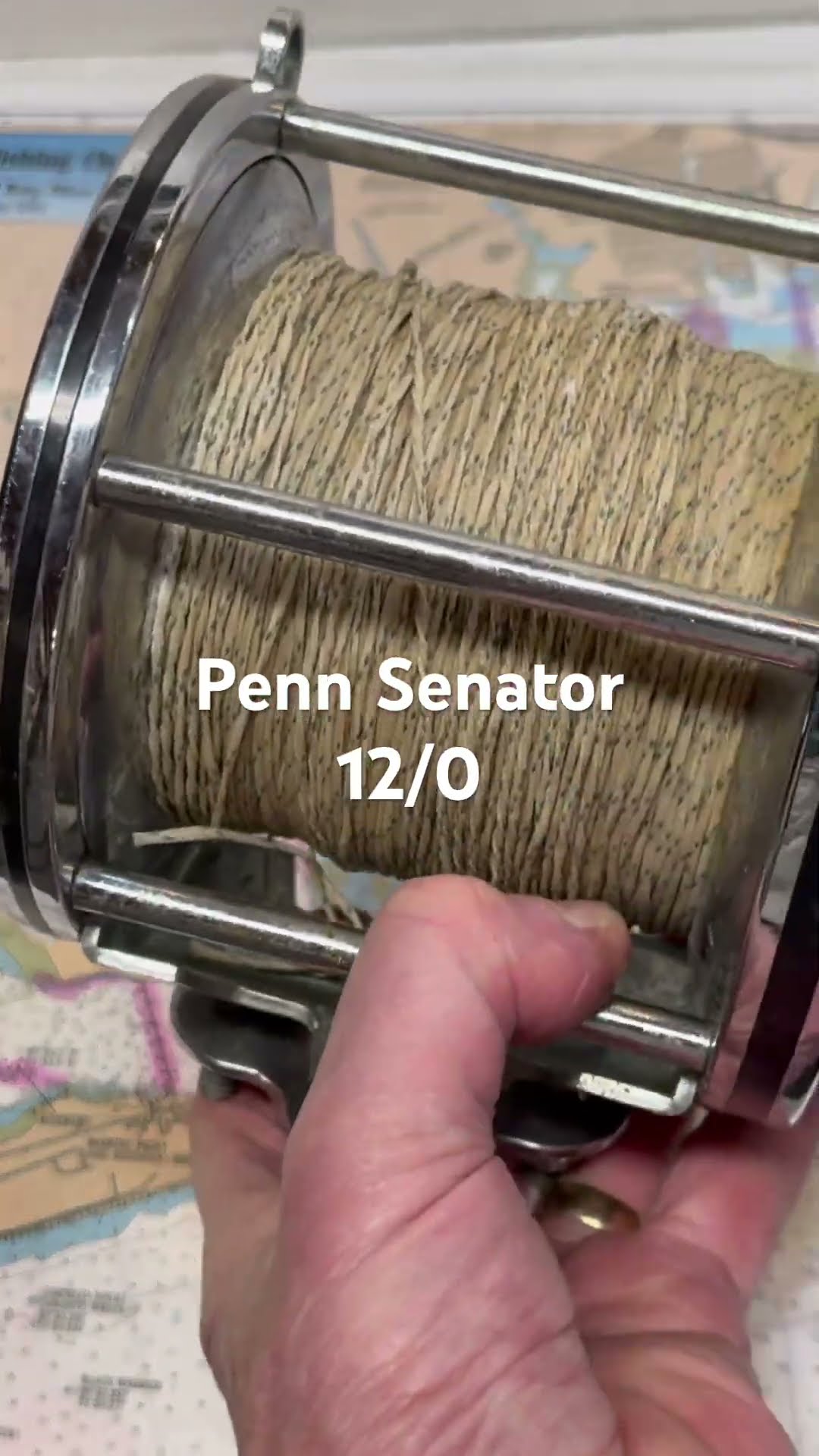 Penn Senator 12/0 Fishing Reel for the Day - YouTube